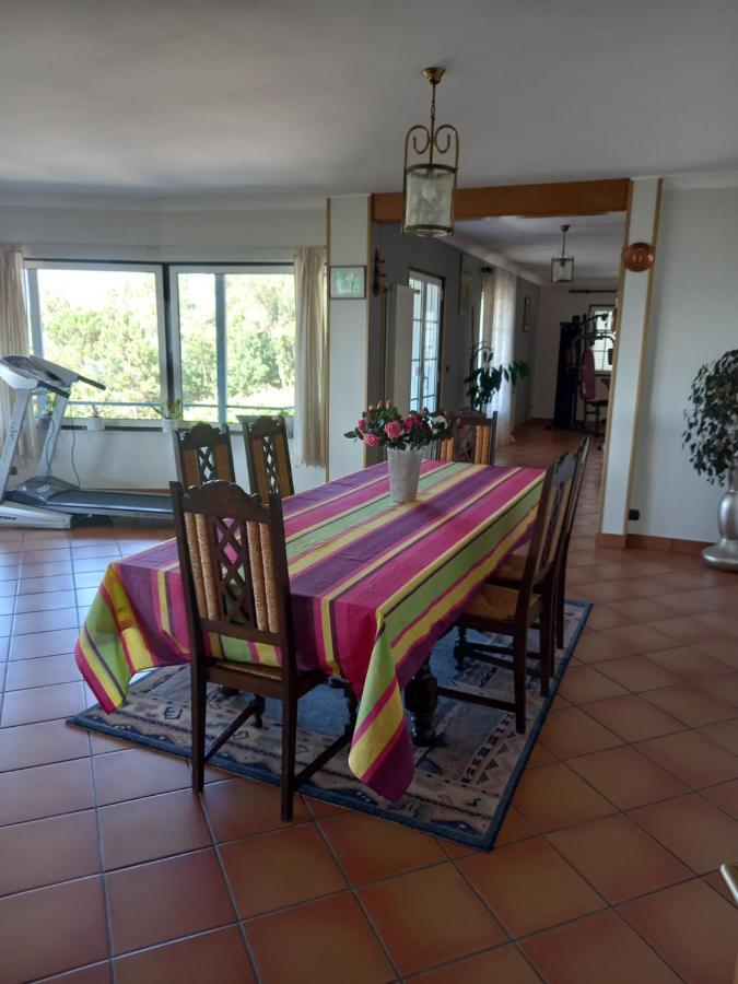Vila Casa Da Bela Vista Viana do Castelo Exteriér fotografie